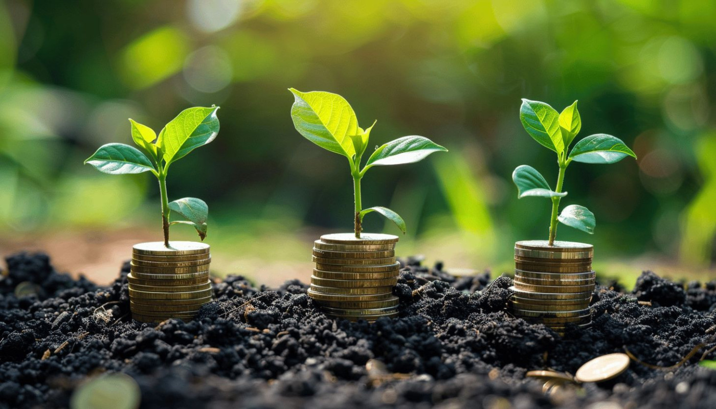 Développement durable et rentabilité comment les entreprises vertes surpassent le marché